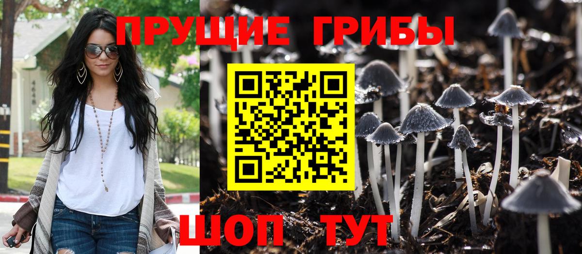 Галлюциногенные грибы Psilocybine cubensis  Вход с VPN  Унеча 